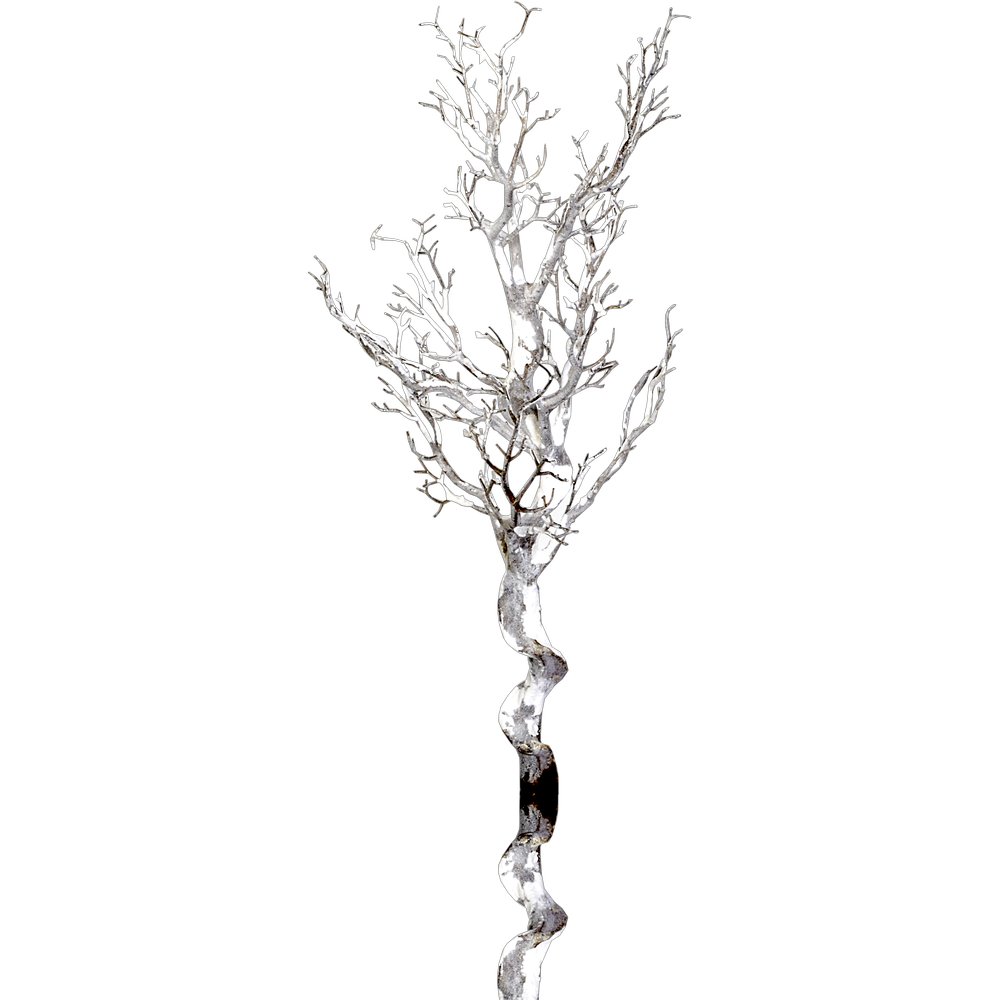 Winterzweig knorrig beschneit