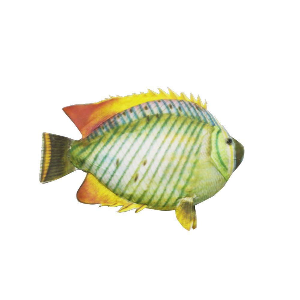 Fisch Tropic grün/orange, 23 x 20 cm