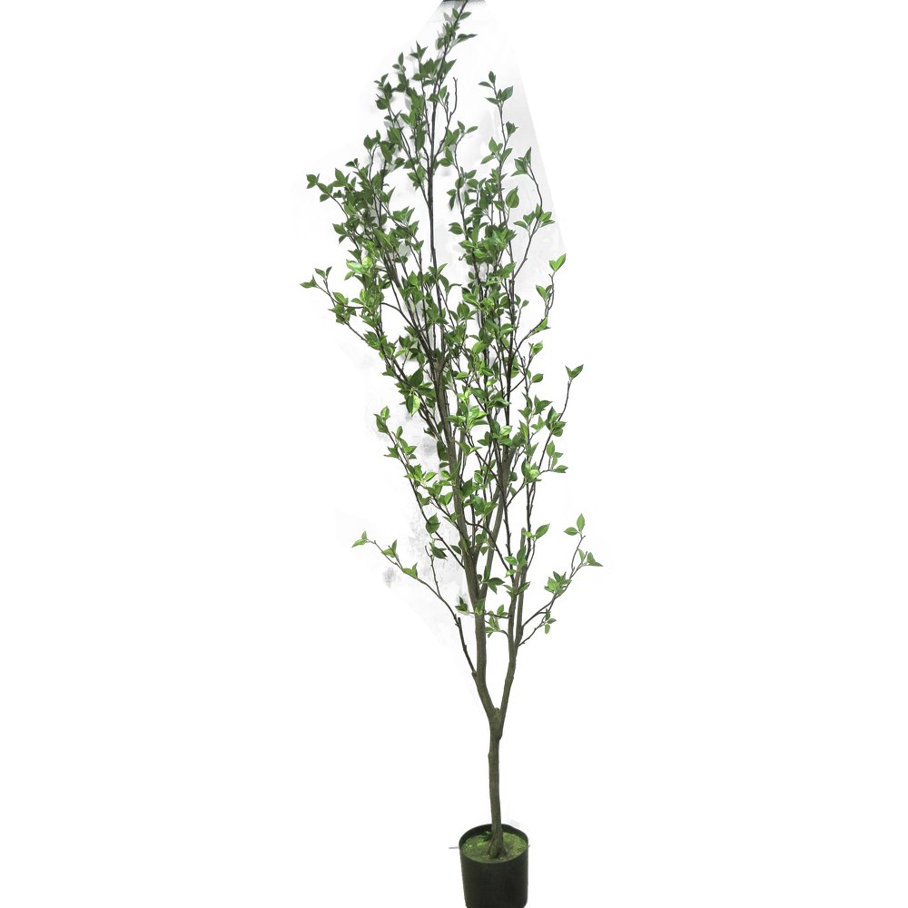 Baum Bella Donna, 240 cm