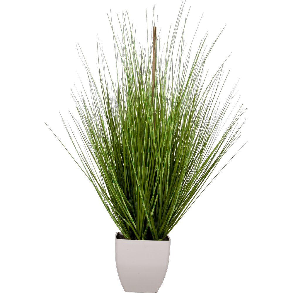 Californie Beach Gras getopft, 60 cm