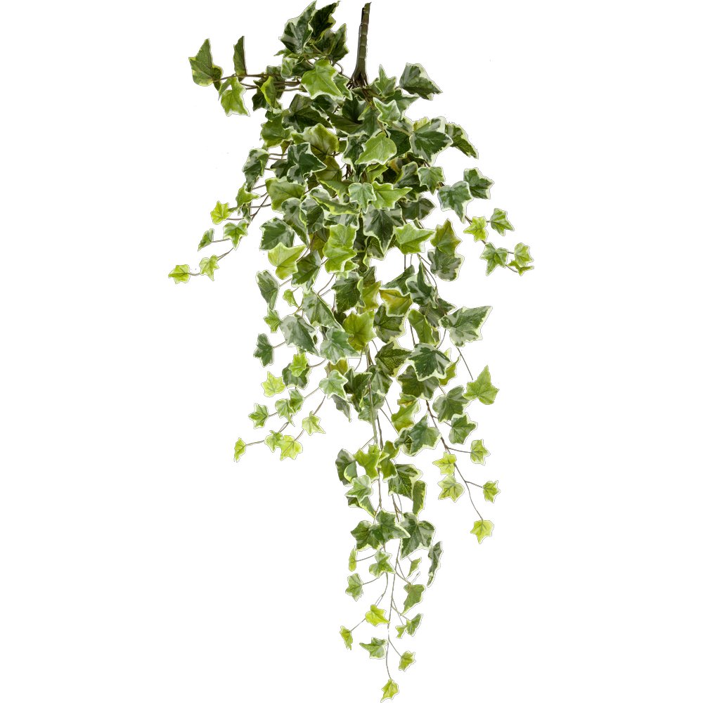 Efeuhänger Waterproof grün/weiß, 85 cm