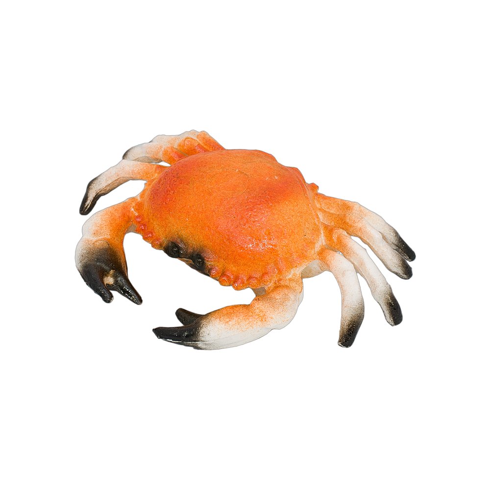 Krabbe Kunststoff, 20 x 13 cm