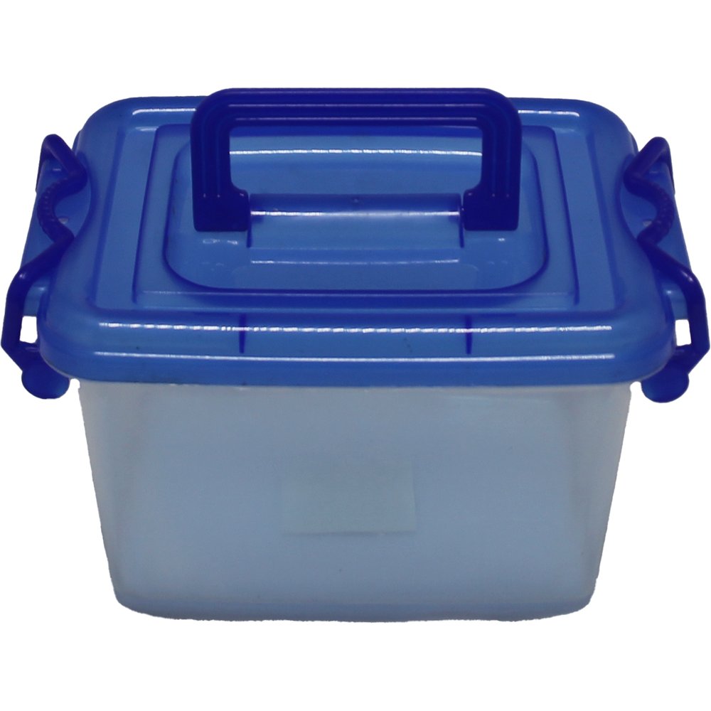 Plastik Box mit Deckel transparent/blau 22x15,5xH14cm