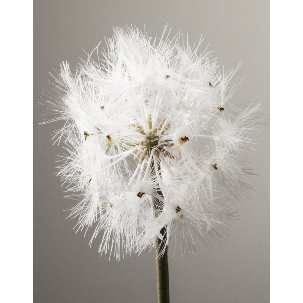 Pusteblume Single grün/weiß, 70 cm, Ø 12 cm