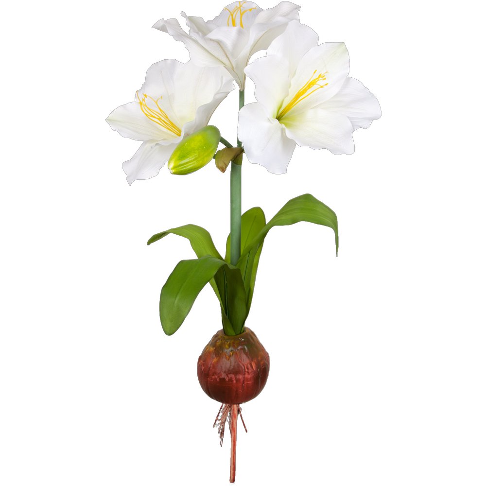 Amaryllis Pflanze XL weiß, Ø 50 x 108 cm
