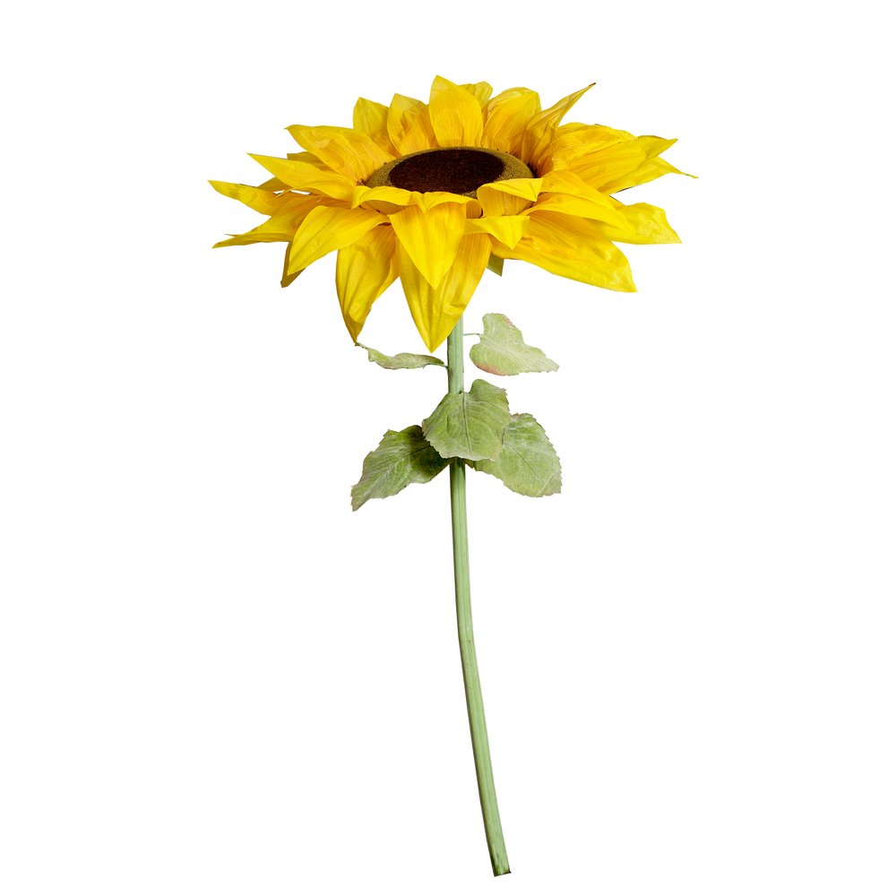 Sonnenblume XXL, 200 cm, Ø 90 cm