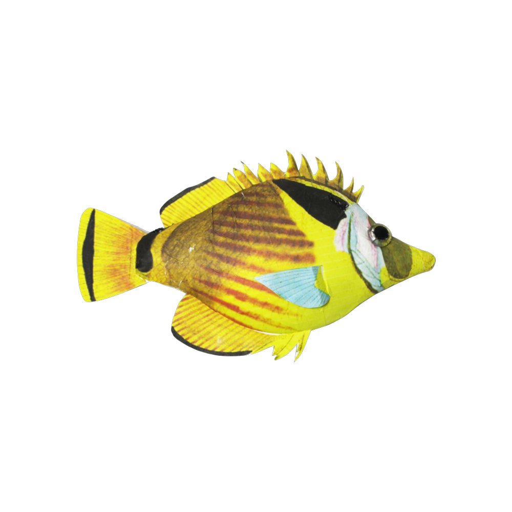 Fisch Tropic gelb/bunt, 23 x 20 cm