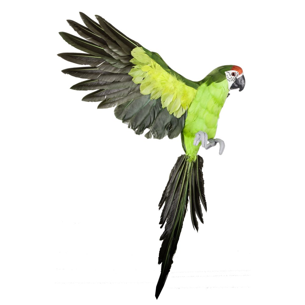 Papagei fliegend grün, 60 cm