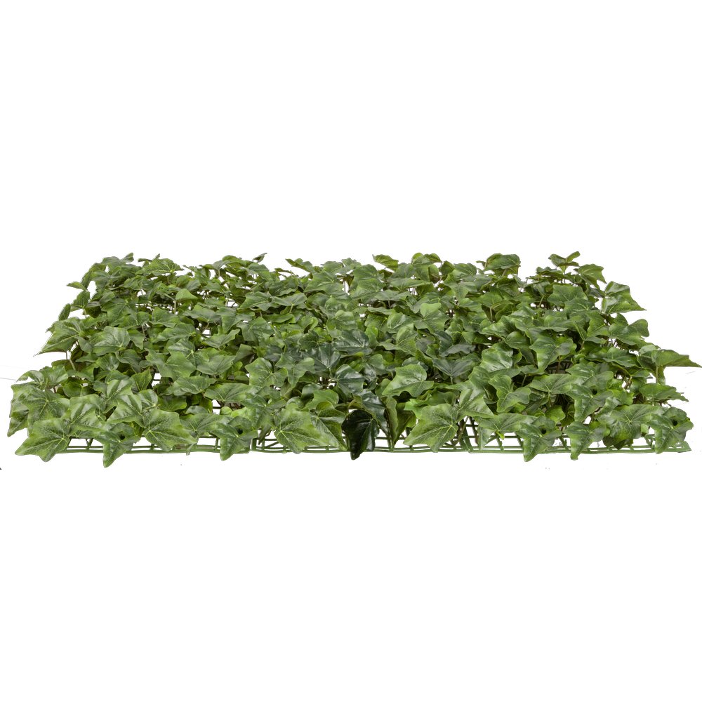 Efeuplatte XL Waterproof