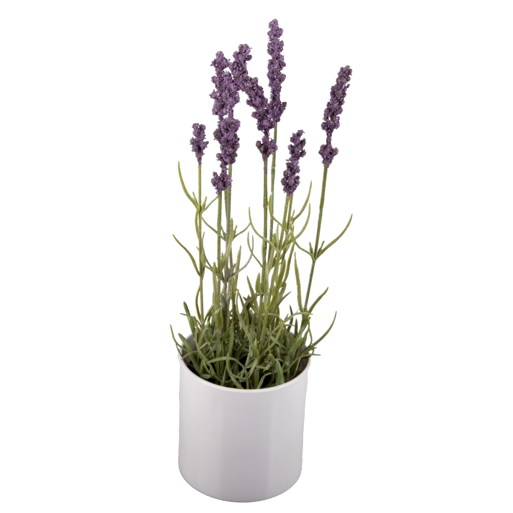 Lavendel x9 in weißem Topf lila/grün, Ø 9,5 x H 35 cm
