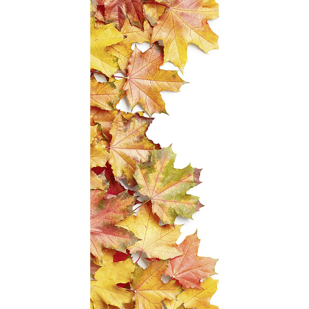 Banner Herbstblätter Deluxe, 75 x 180 cm