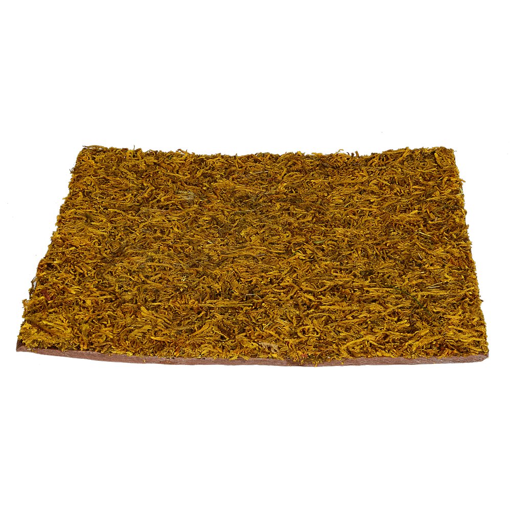 Moosplatte hellbraun, 30 x 30 cm