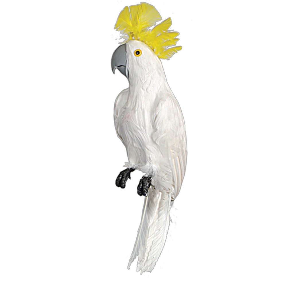 Kakadu Tierattrappe sitzend weiß, 50 cm
