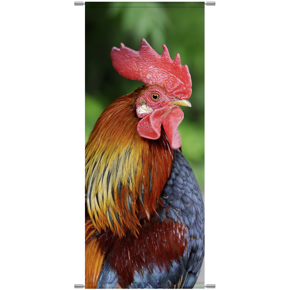 Banner Hahn natur 180 cm