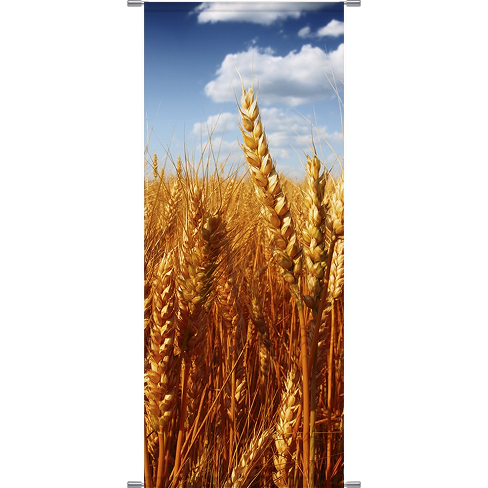 Banner Ährenfeld, 75 x 180 cm