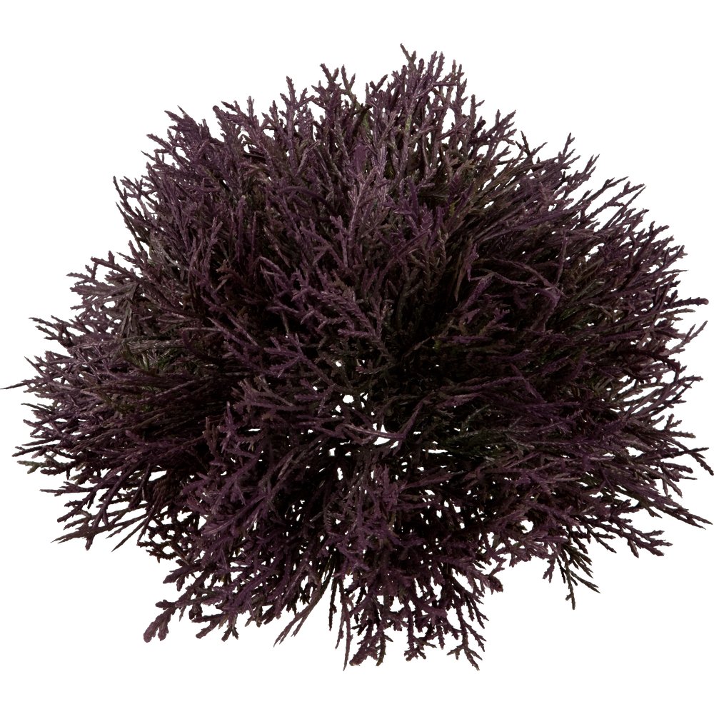 Zedern Halbkugel burgund, Ø 25 cm