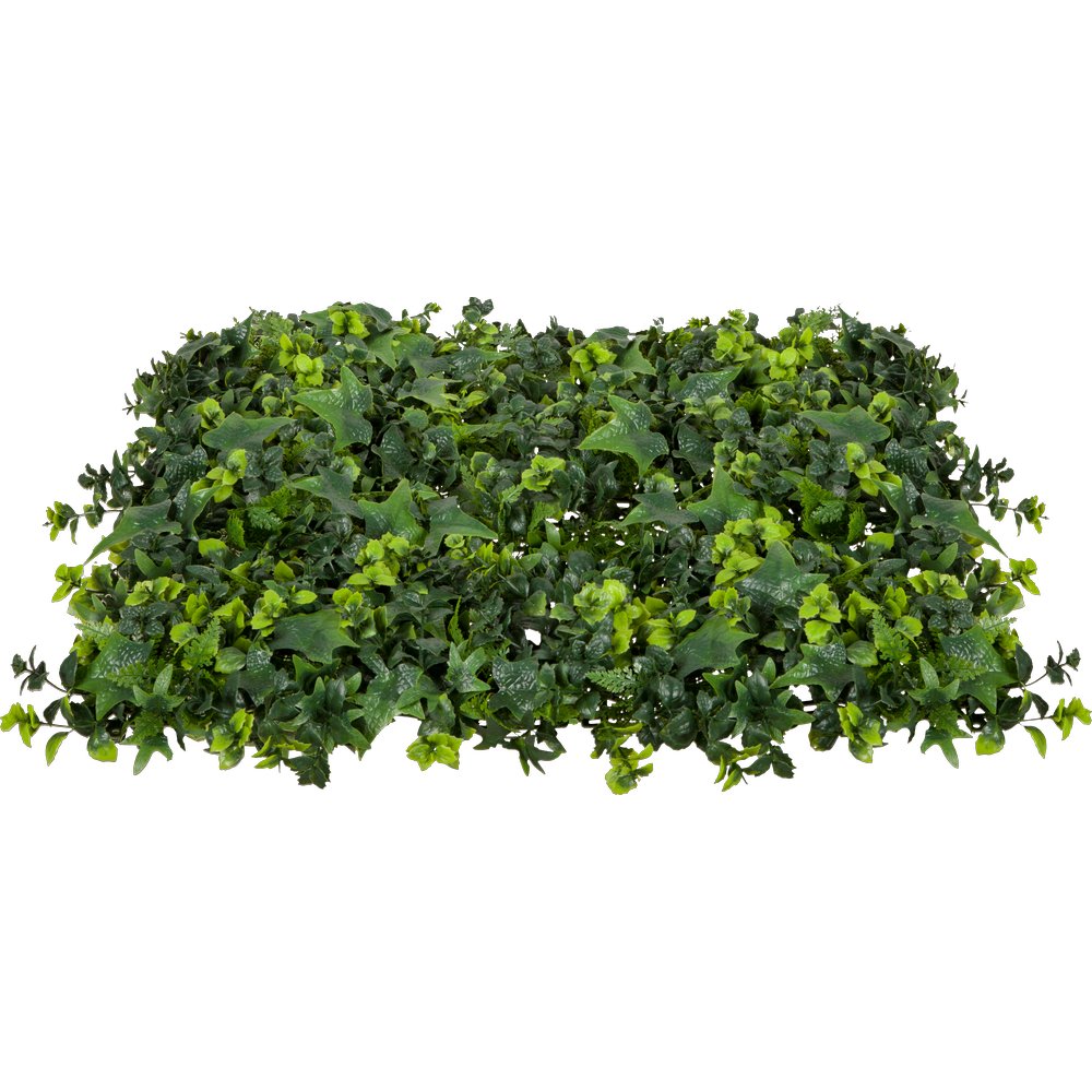 Garden-Mix Efeuplatte grün, 50 x 50 cm