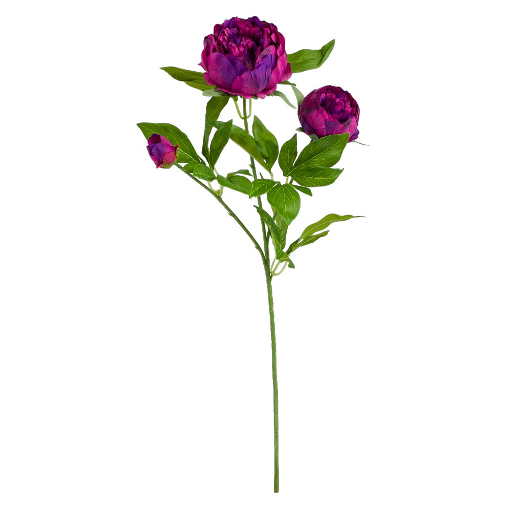 Pfingstrosenzweig x3 fuchsia, 70 cm