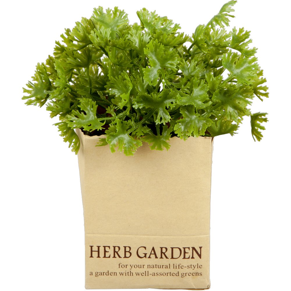 Petersilie in Paperbag, 14 cm