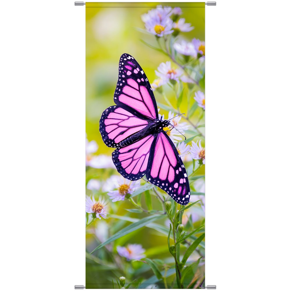 Banner Schmetterling, 75 x 180 cm