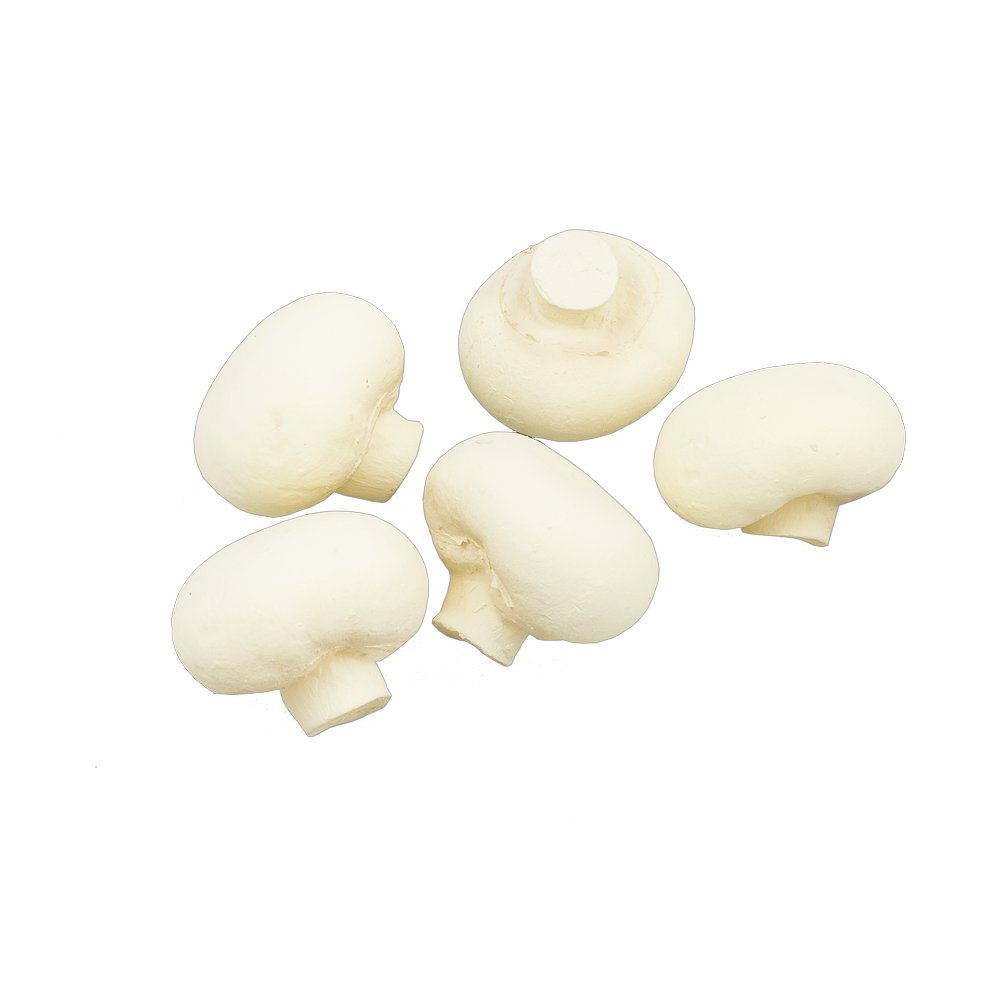 Champignons 5 Stück, Ø 4,5 cm