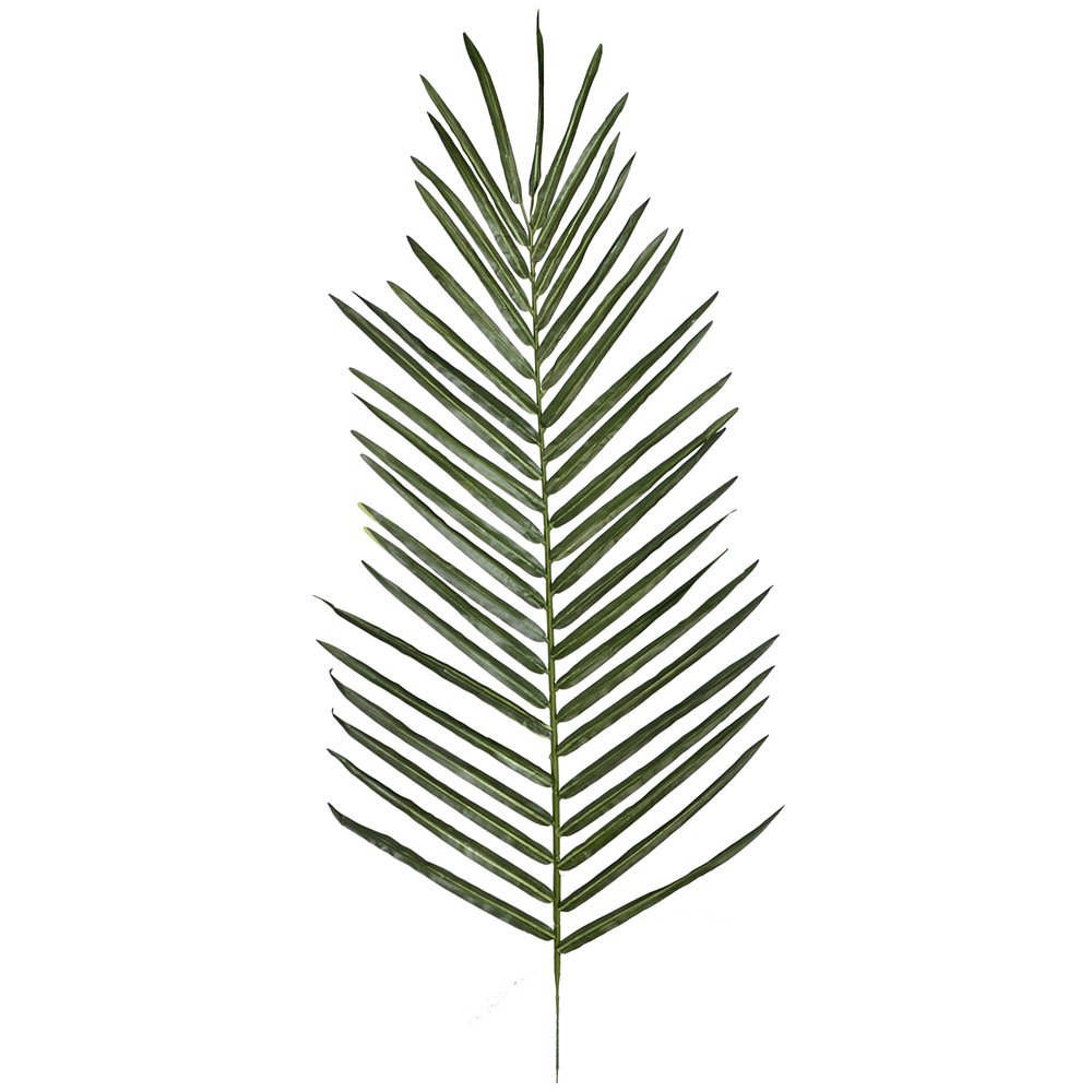 Arecapalmblatt, 95 cm