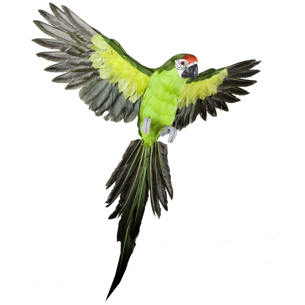 Papagei fliegend grün, 60 cm