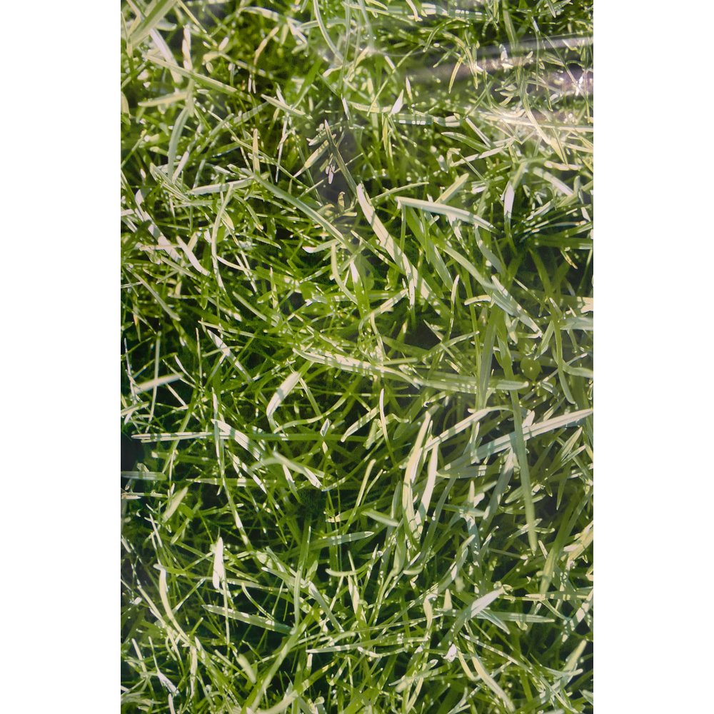 Motivdruck-Folie Highlands (Gras), 135 cm breit