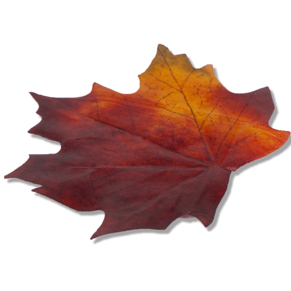 Ahornblätter ohne Stiel herbstbunt, 48 Stück, 5-9 cm