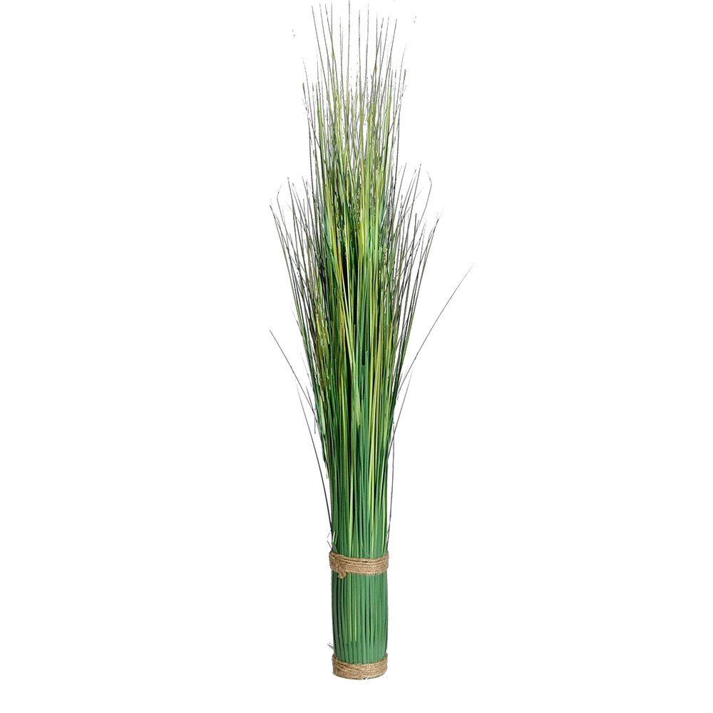 Grasbüschel Festuca, 90 cm, Ø 8 cm