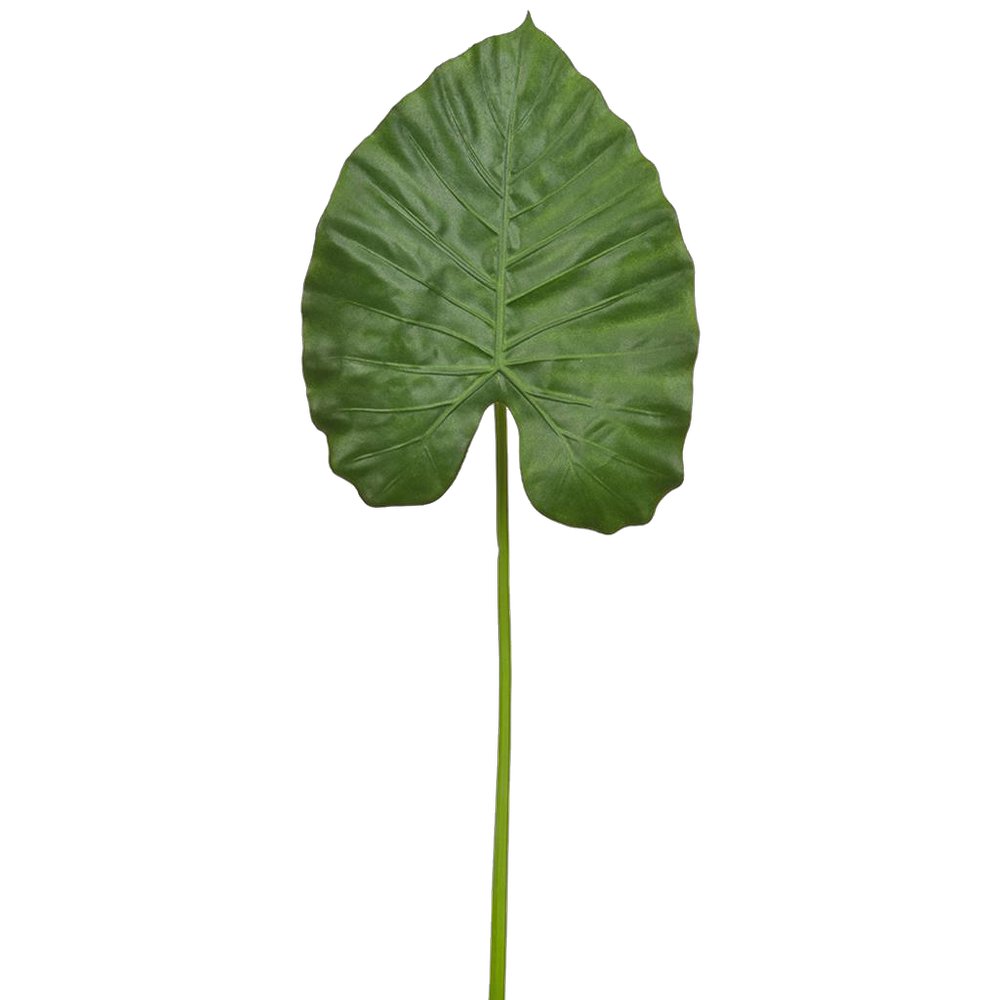 Alocasia Calidora Blatt B1, 110 cm