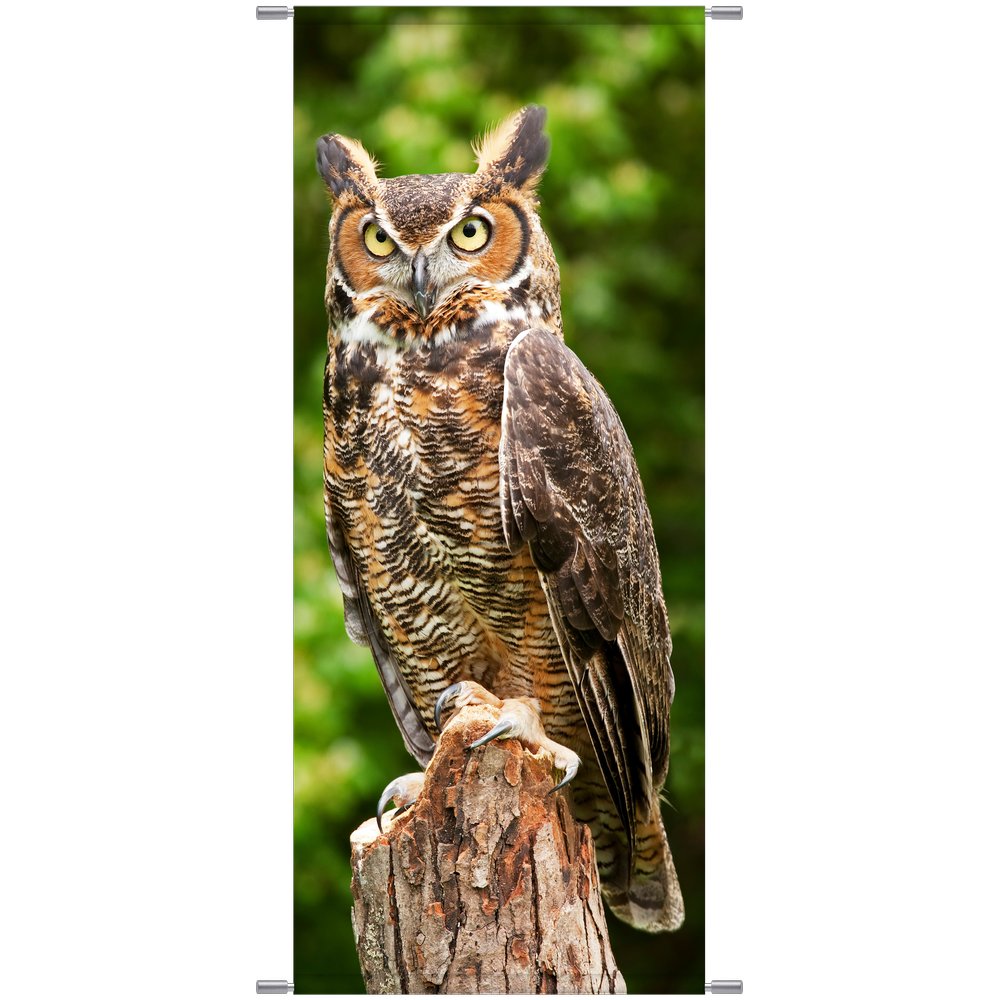 Banner Eule natur, 75 x 180 cm