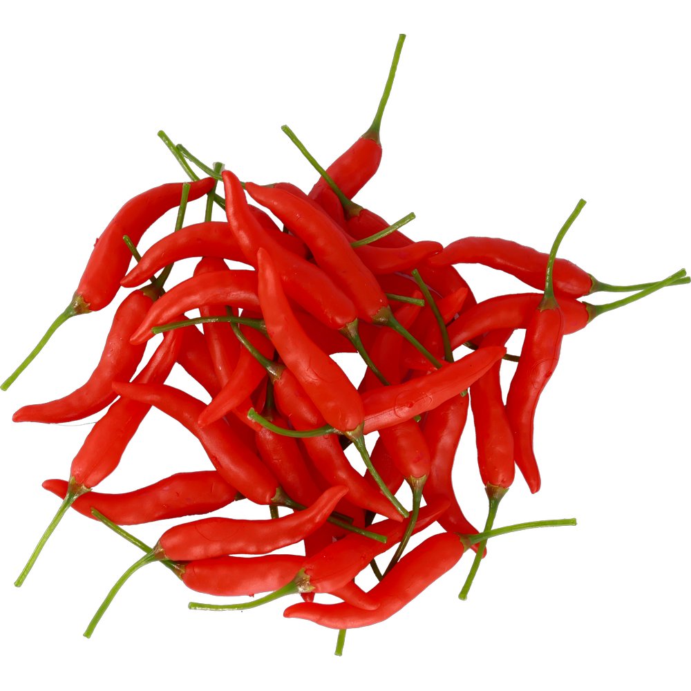 Chili-Schoten 36 Stück rot, 9,5 x 1 cm