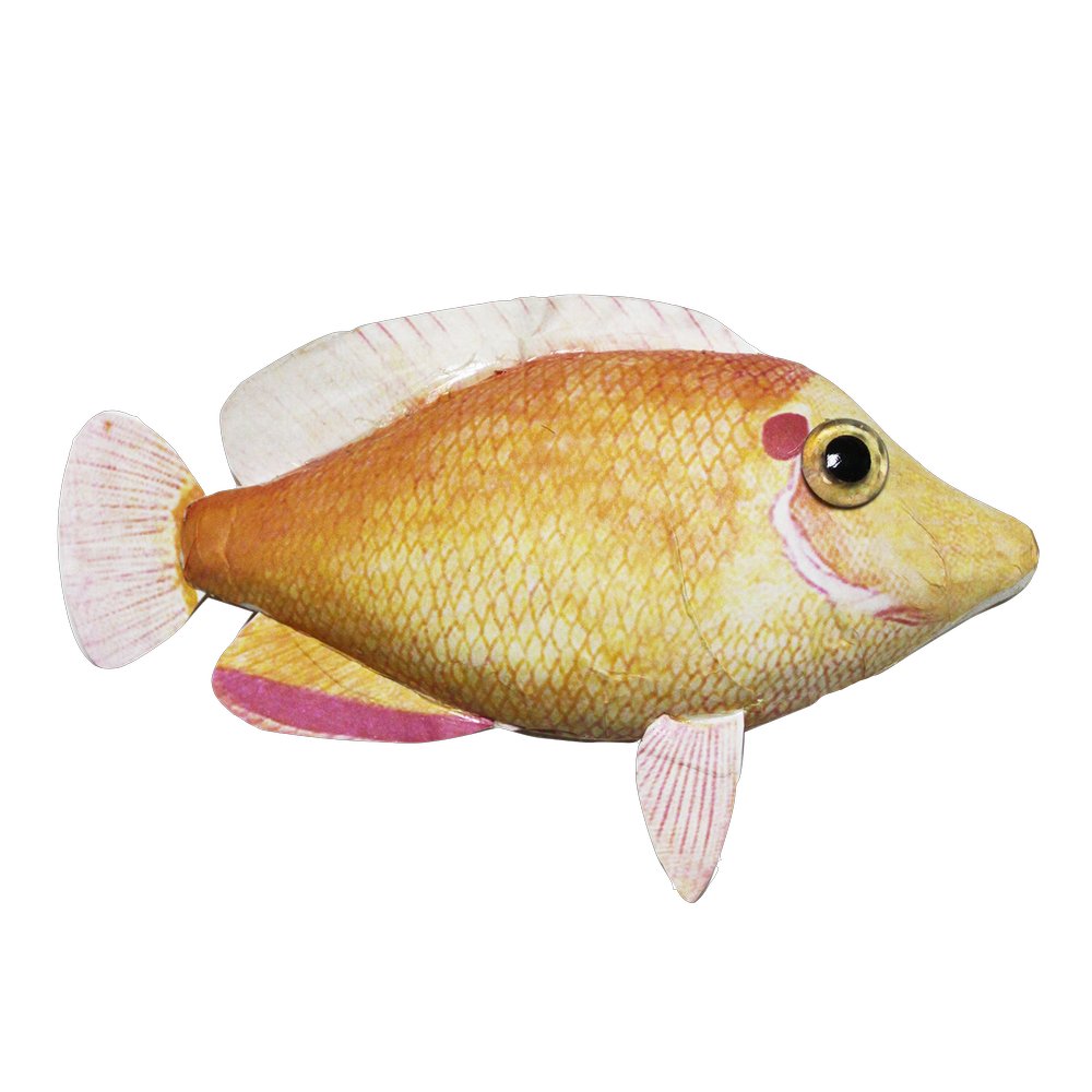 Fisch Tropic lachsrot, 23 x 20 cm