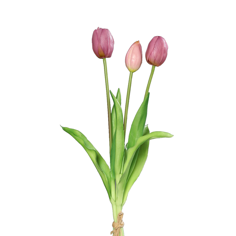 Tulpenbund x3 Deluxe pink, 39 cm