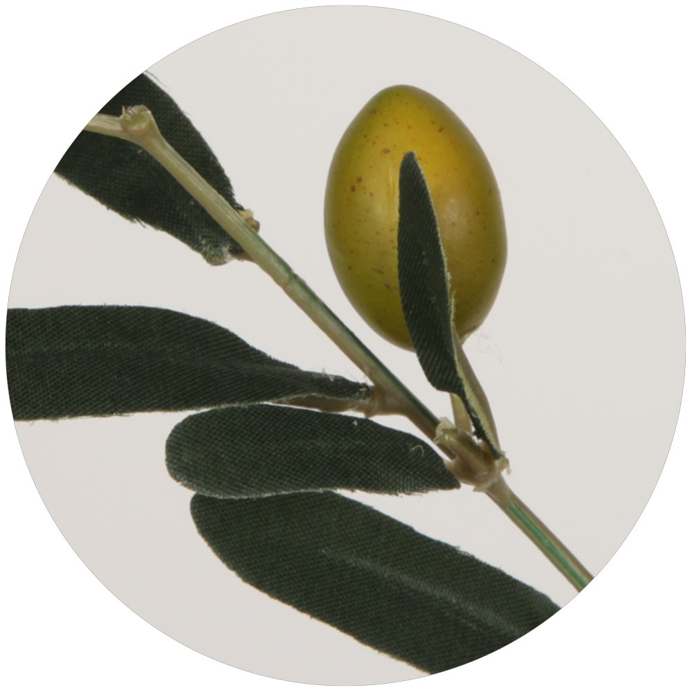 Olivenzweig natural grün, 83 cm