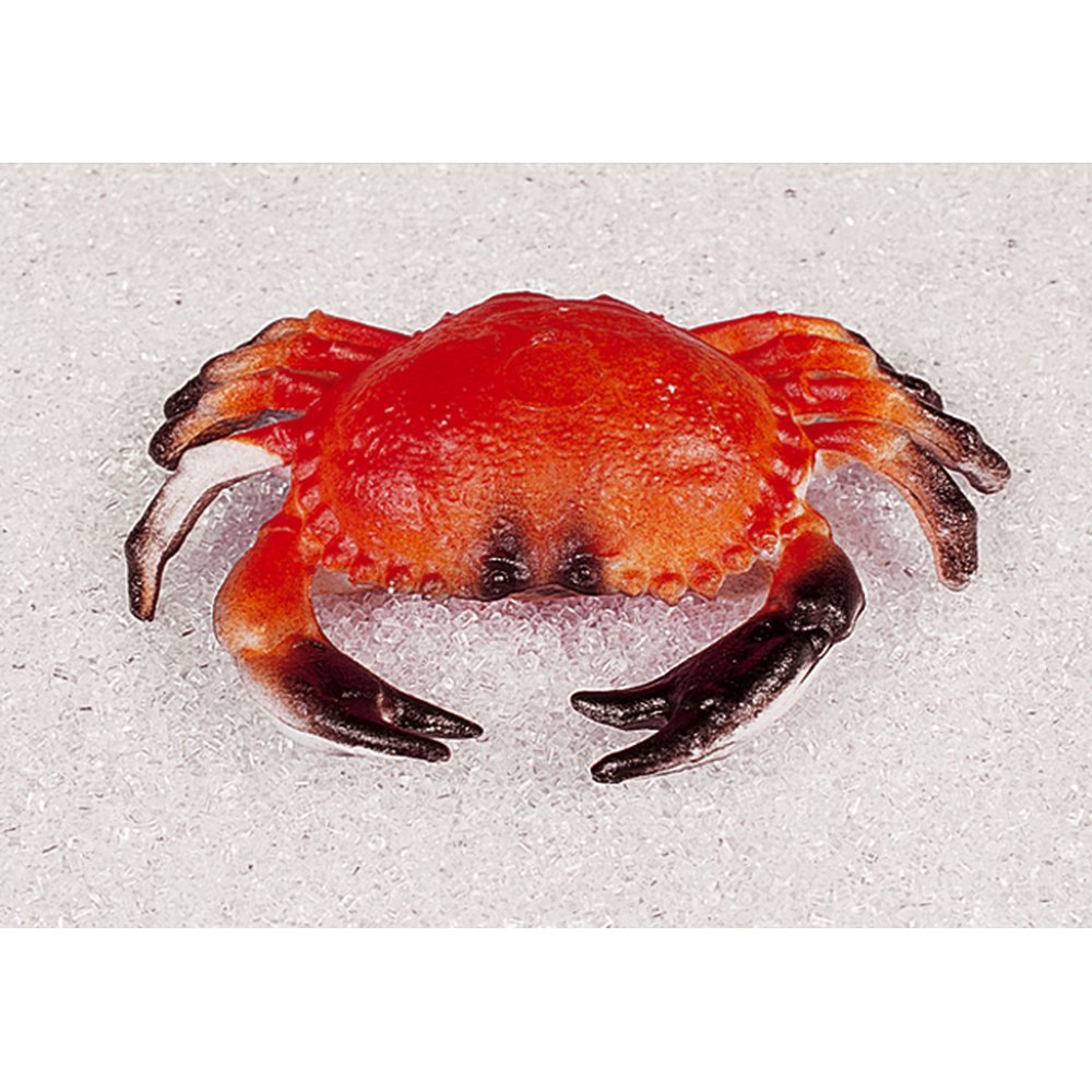 Krabbe Kunststoff, 20 x 13 cm