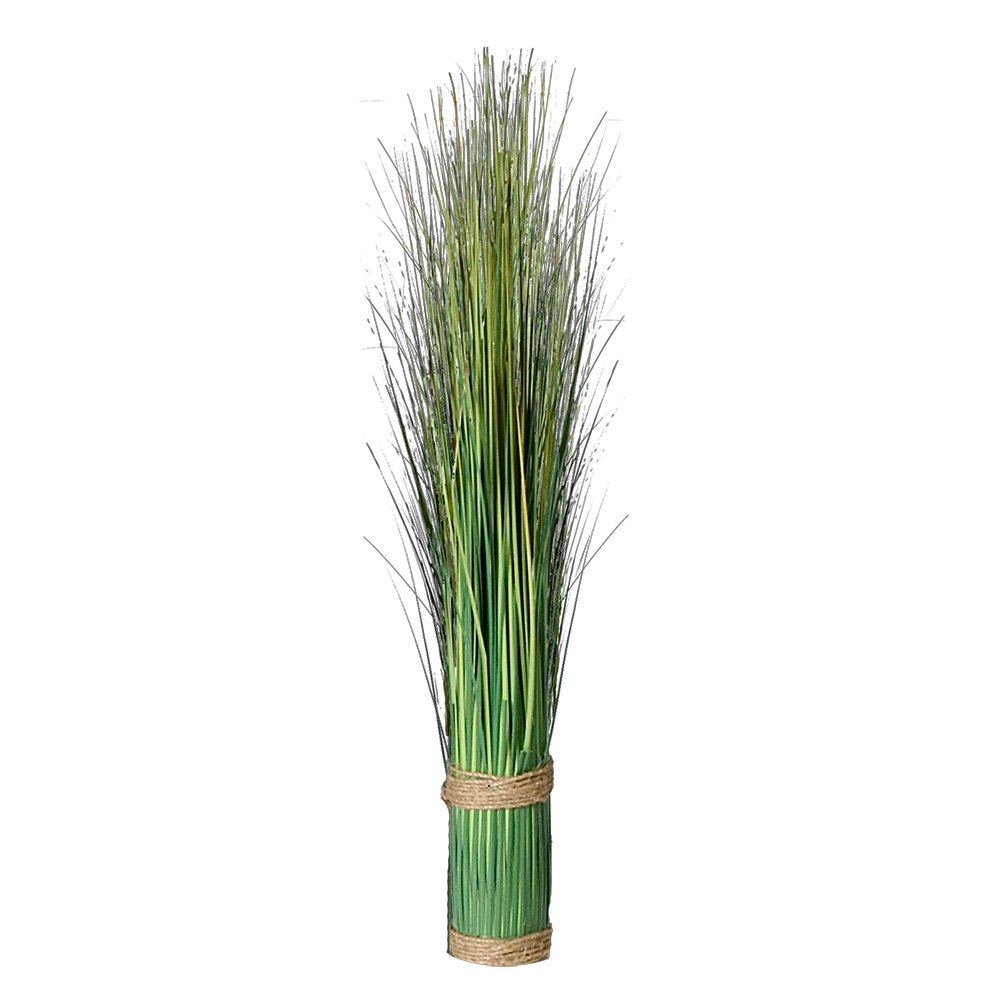 Grasbüschel Festuca, 45 cm, Ø 5,5 cm