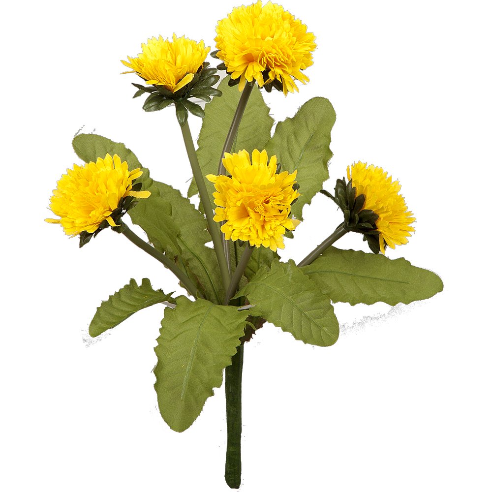 Löwenzahn mit 5 Blüten grün/gelb, 25 cm, Ø 22 cm