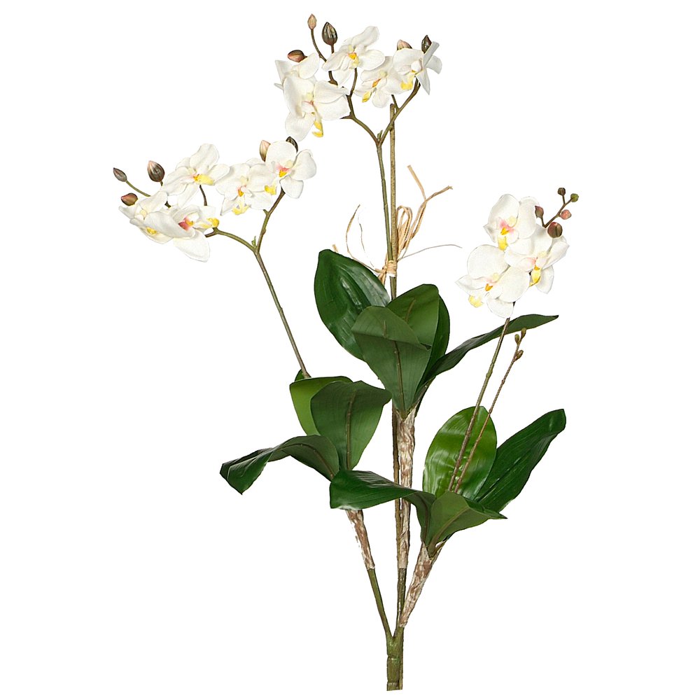 Orchidee x3 (3 Blütenzweige) weiß, 70 cm