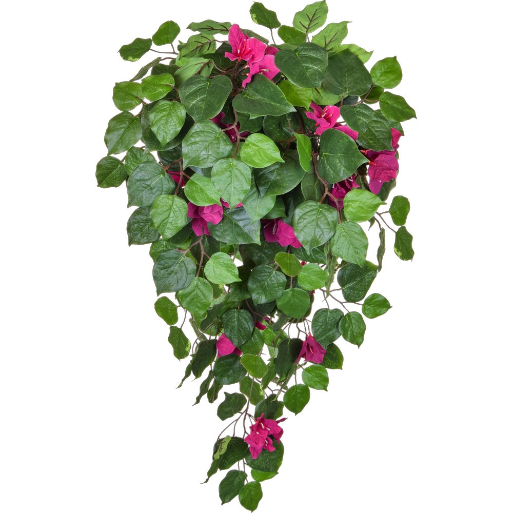 Bougainvillea Hänger B1 grün/fuchsia, 100 cm