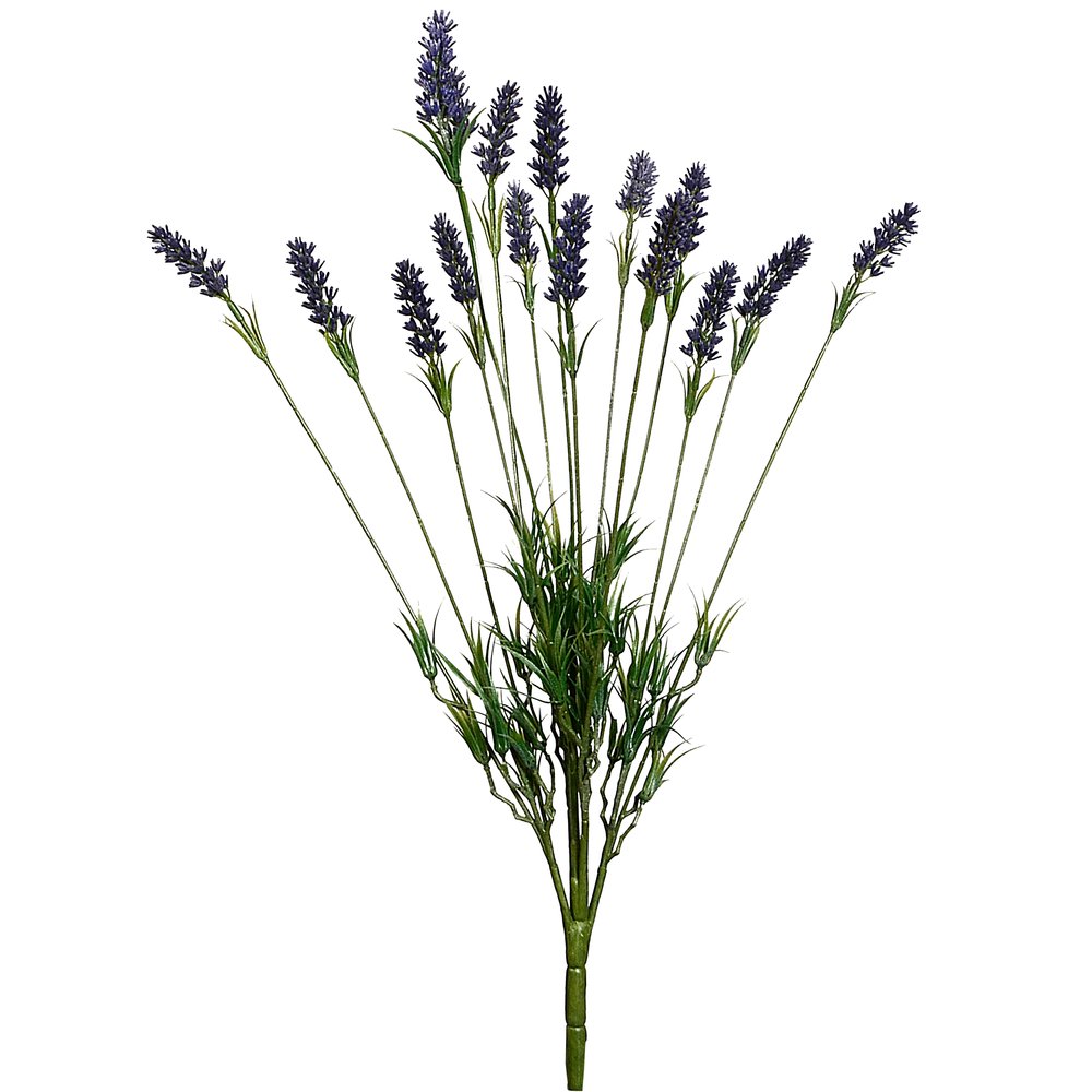 Lavendelbusch x15 groß, Ø 28 x 60 cm