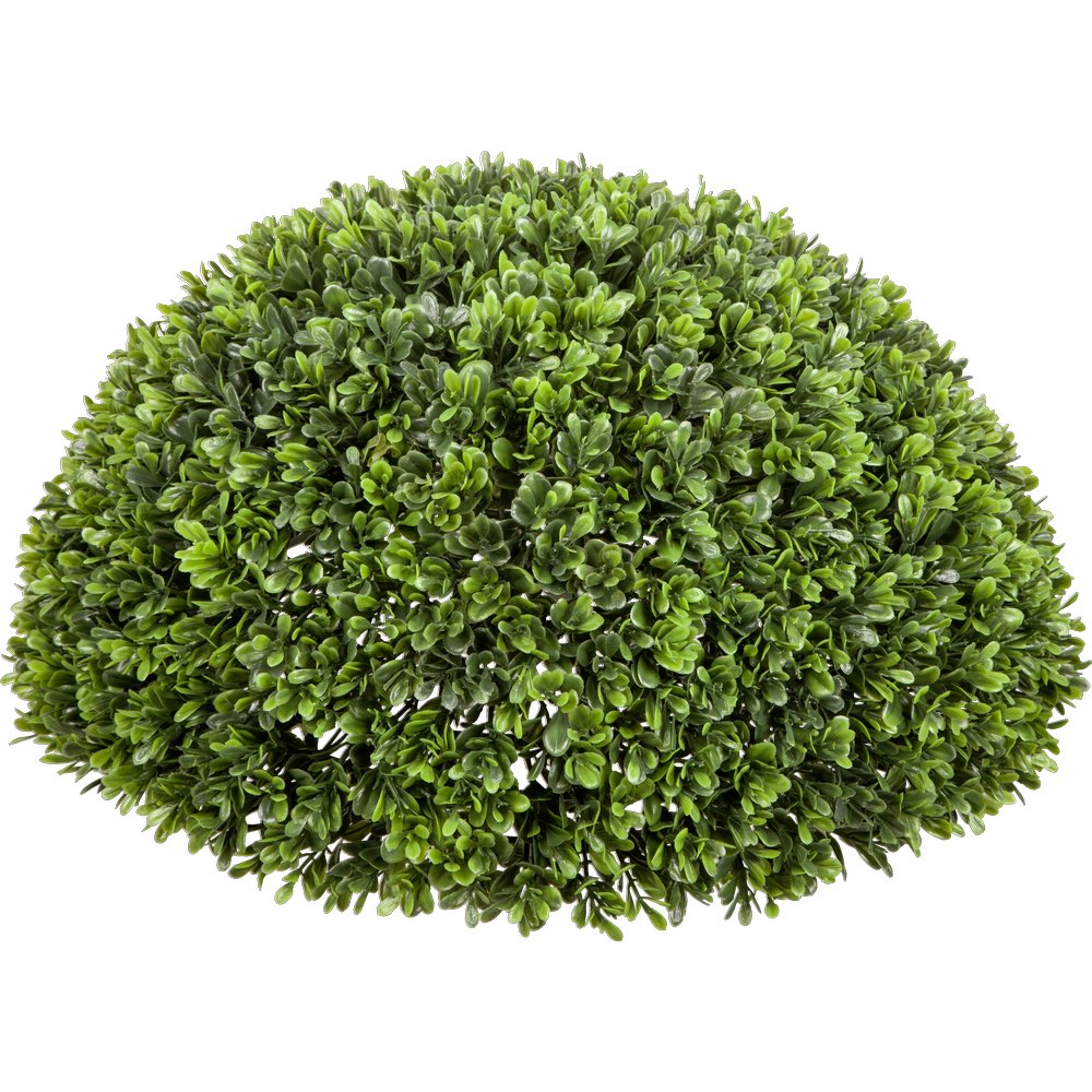 Buchs Halbkugel grün, Ø 41 cm, H 20,5 cm
