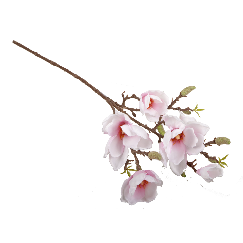 Magnolienzweig Queens weiß/pink, 81 cm