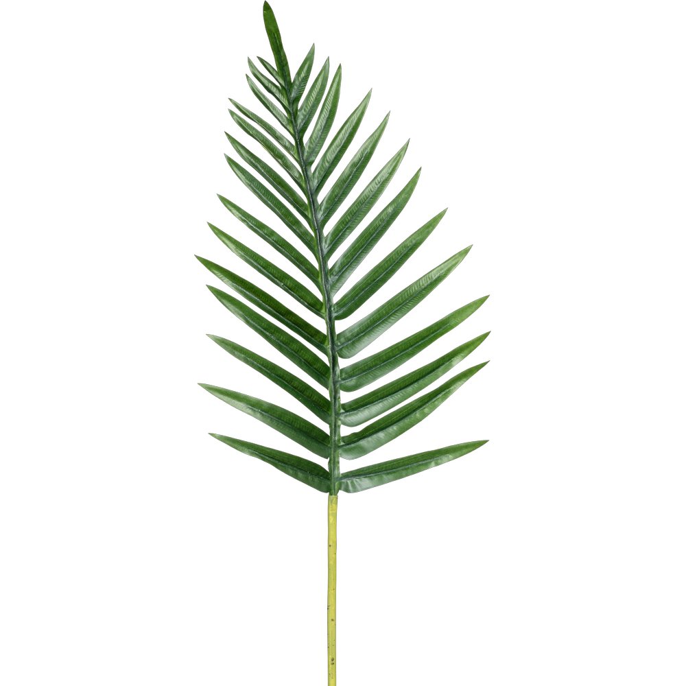 Arecapalmwedel 28 Blätter  grün, 65 cm