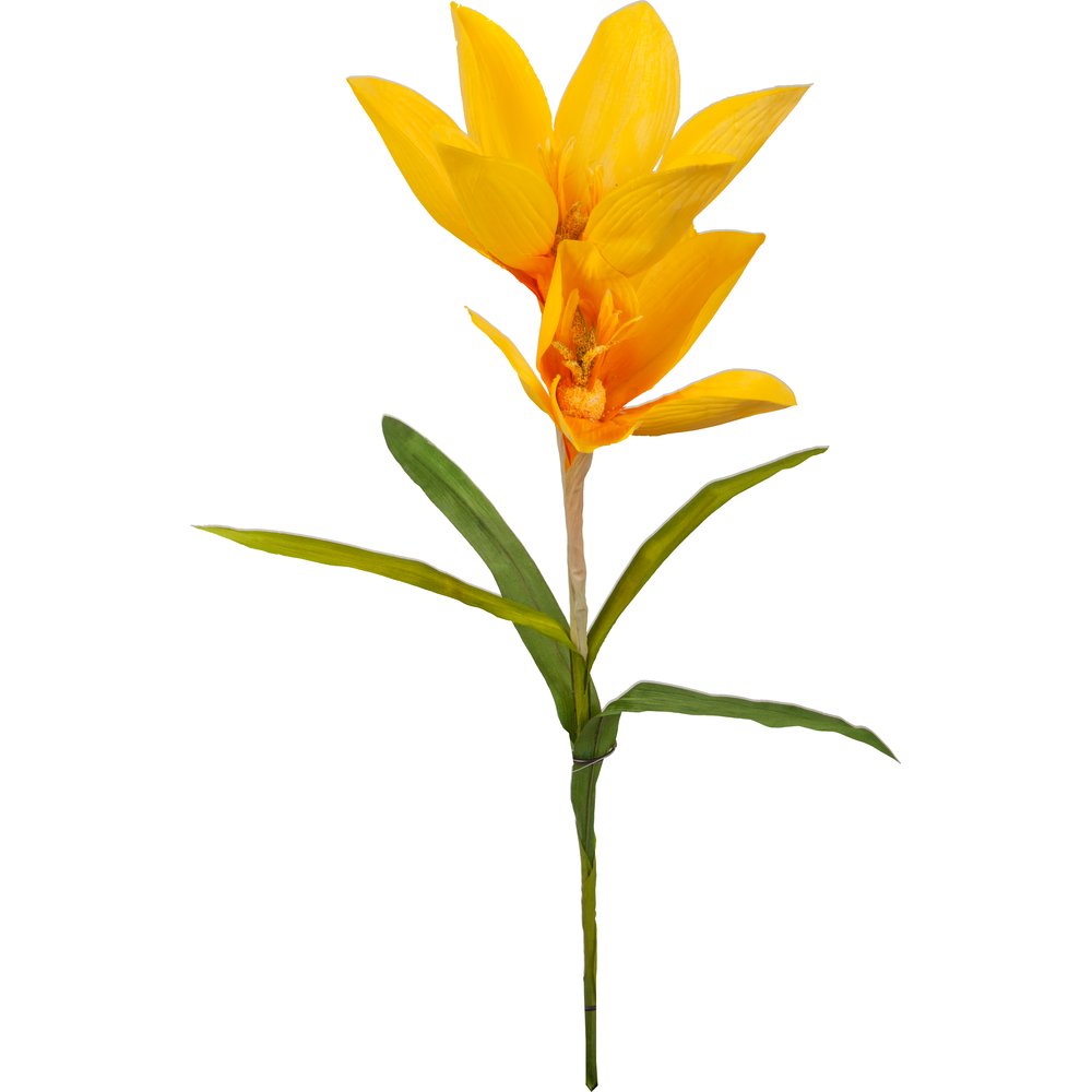 Krokus x2 XL gelb,B35 x H90 cm