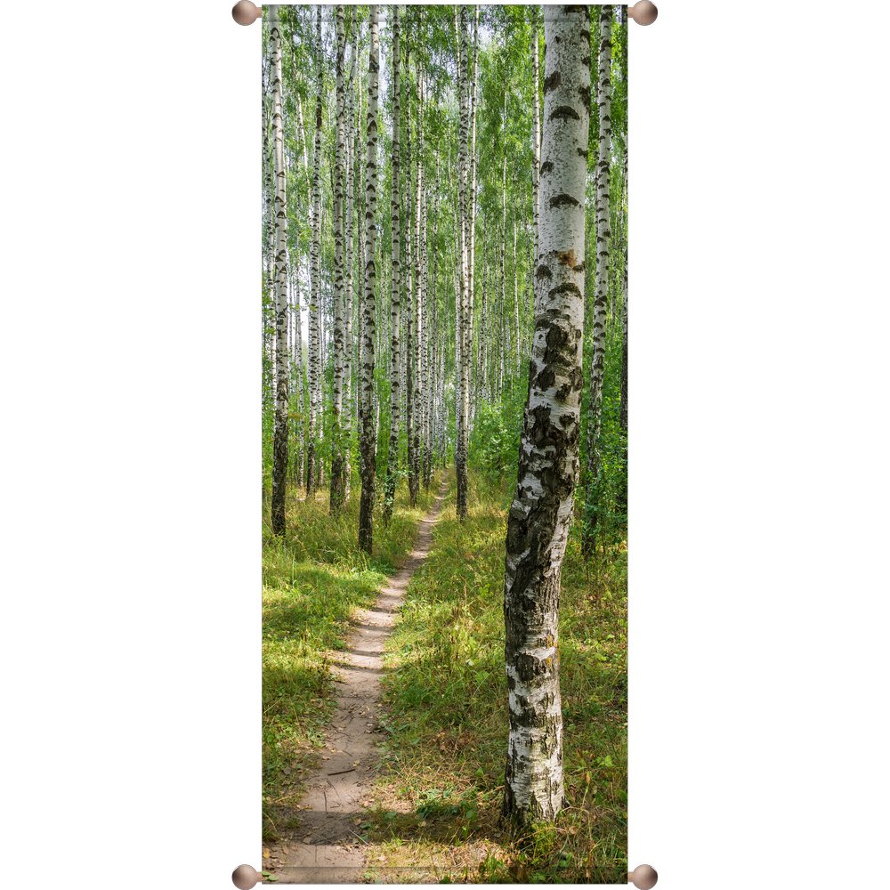 Banner Birkenwald, 75 x 180 cm
