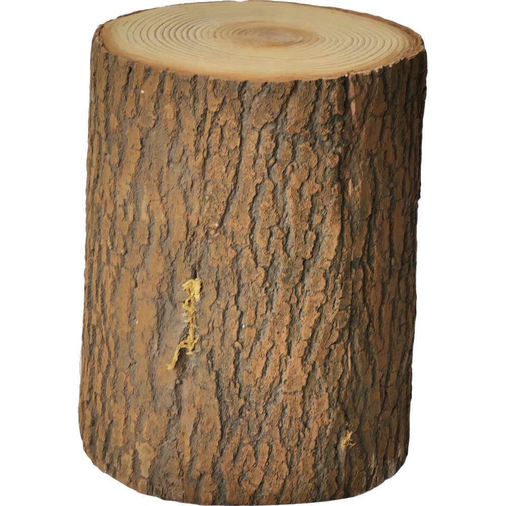 Baumstamm Highland, Ø 15 x 20 cm