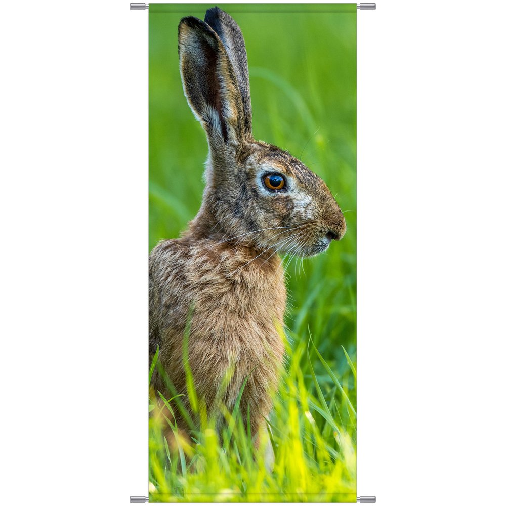 Banner Hase im Gras grün/natur, 75 x 180 cm