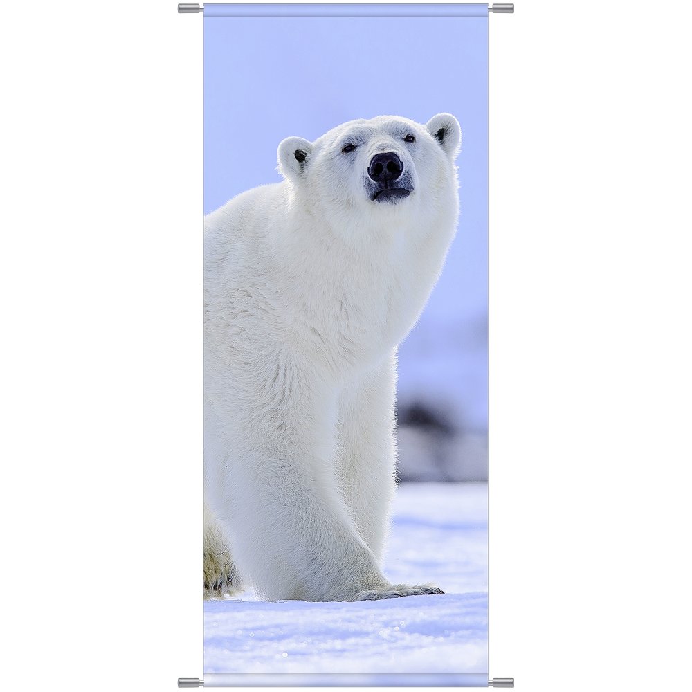 Banner Eisbär, 75 x 180 cm